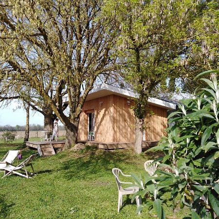 Le Chalet Du Bord De L'Eau Sainte-Terre Екстериор снимка